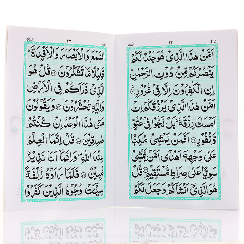 Surah Yaseen With 9 lines
